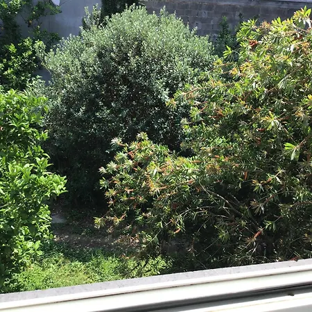 Paravis 4 Or 6 People * Piano di Sorrento